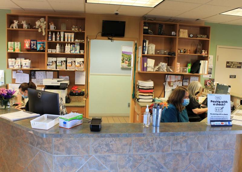 Veterinary Hospital Associates Pueblo Veterinarians